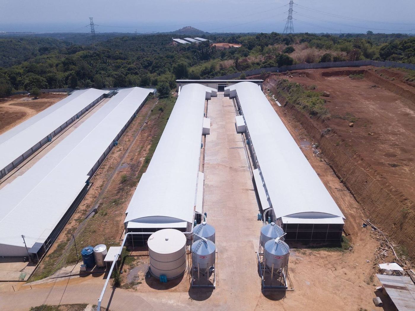 Aerial view of poultry houses and feed silos delivered turnkey by AFI